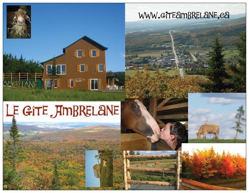 Le Gite Ambrelane เธทฟอร์ด ไมนส์ ภายนอก รูปภาพ